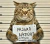 Когтеточка для кошки до потолка - last post by Kotostrofa